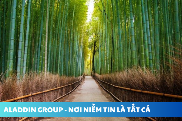 ALADDIN GROUP - NƠI NIỀM TIN LÀ TẤT CẢ (14)_2