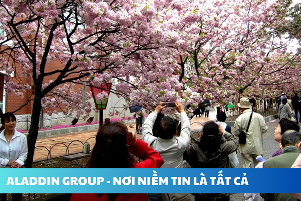 ALADDIN GROUP - NƠI NIỀM TIN LÀ TẤT CẢ (51)_1